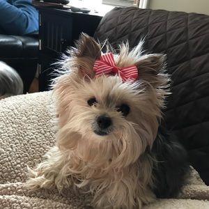 Meet your Posher, Lori